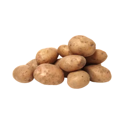 Pommes de terre de consommation non lavées PETIT PRIX